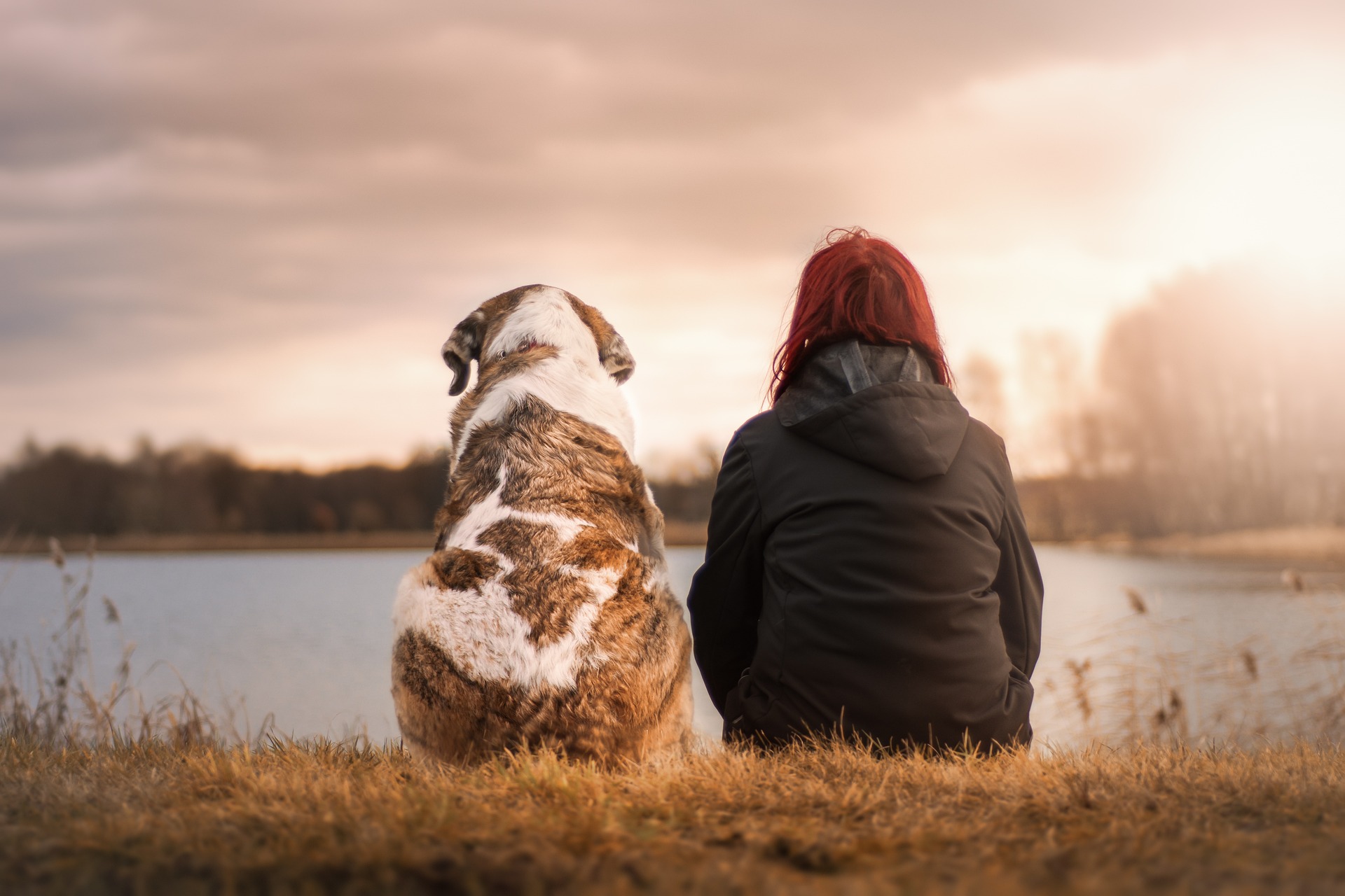 En hund og en kvinde sidder med ryggen til og kigger ud over en sø.